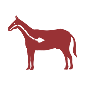 Workforce Development Icon