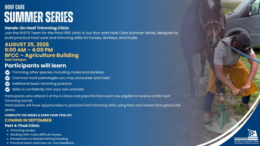 Hoof Trimming Series Part 3